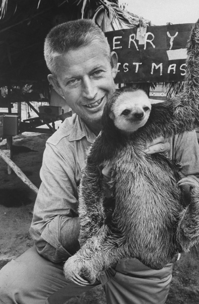 Stan Wayman holding a sloth. (Photo by Stan Wayman/The LIFE Picture Collection © Meredith Corporation)