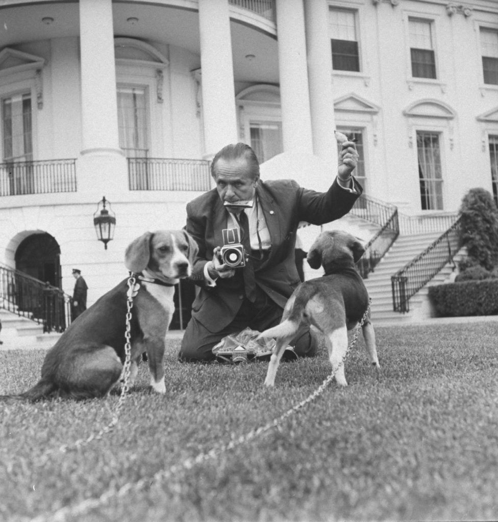 Photographer Francis Miller shooting presidential beagles on White House lawn. (Photo by Francis Miller/The LIFE Picture Collection © Meredith Corporation)