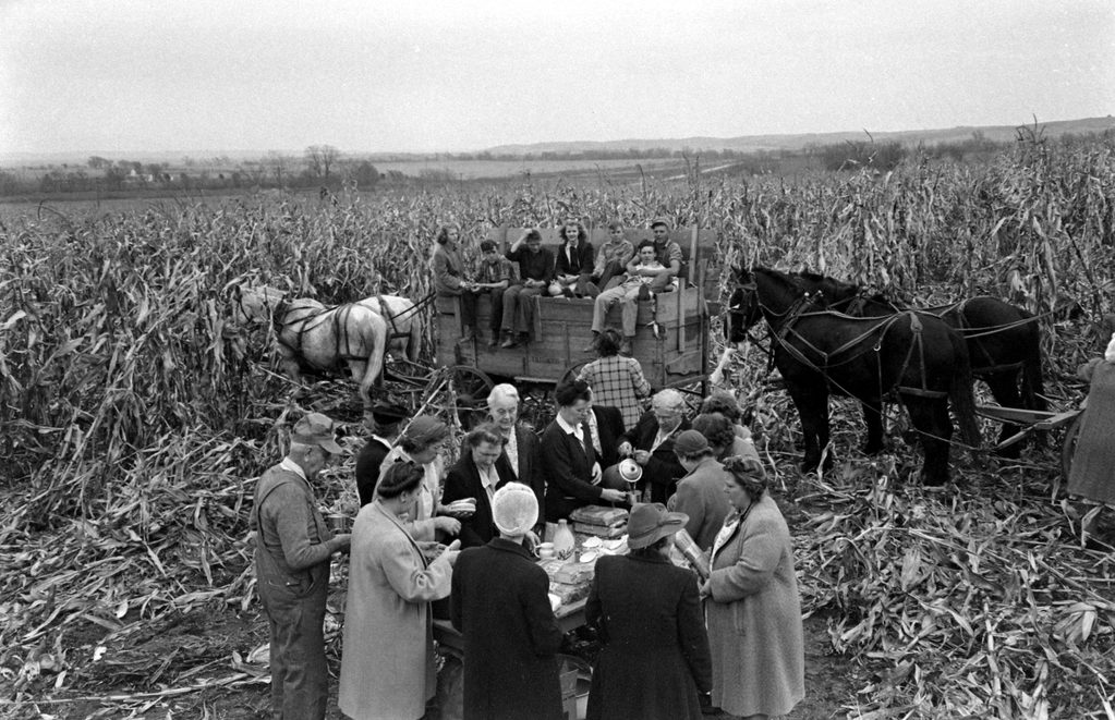 Nebraska corn harvest