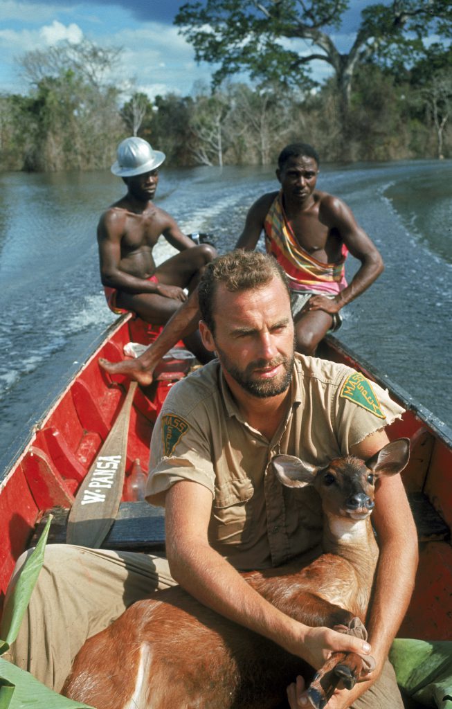 John Walsh holds onto a deer which he rescued out of the flood waters in Surinam, 1964.