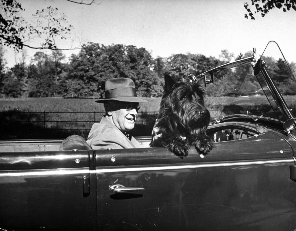 President Franklin D. Roosevelt driving in his convertible with his dog Fala through Hyde Park, 1944.
