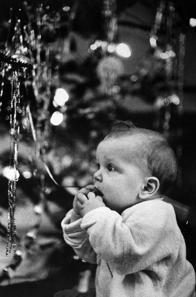 Baby tasting a piece of metallic tinsel dangling from a Christmas tree, 1954.