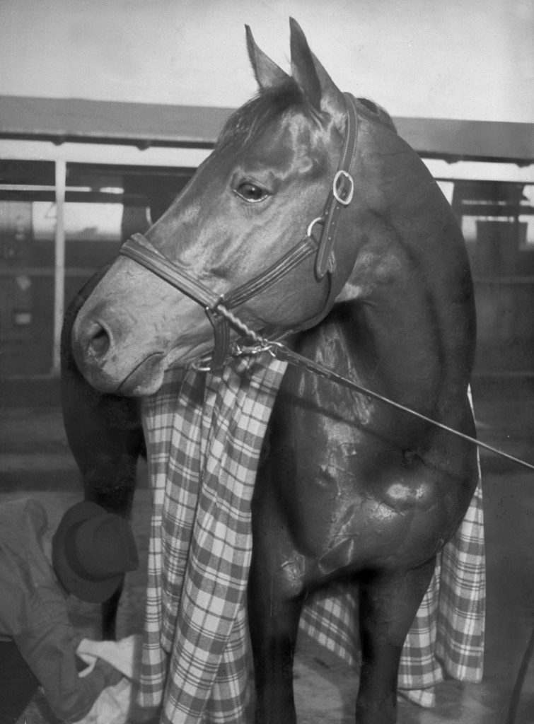 Championship horse Seabiscuit after winning Santa Anita Handicap, 1940.