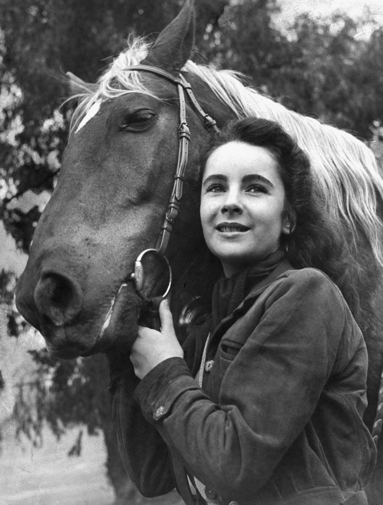 Elizabeth Taylor posed with a saddle horse after her smash movie debut in "National Velvet," 1945.