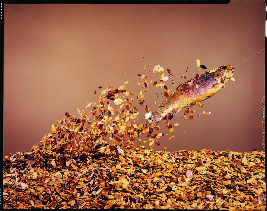 Trout flying out of bed of almonds in preparation for trout amandine. (Photo by John Dominis/The LIFE Picture Collection © Meredith Corporation)
