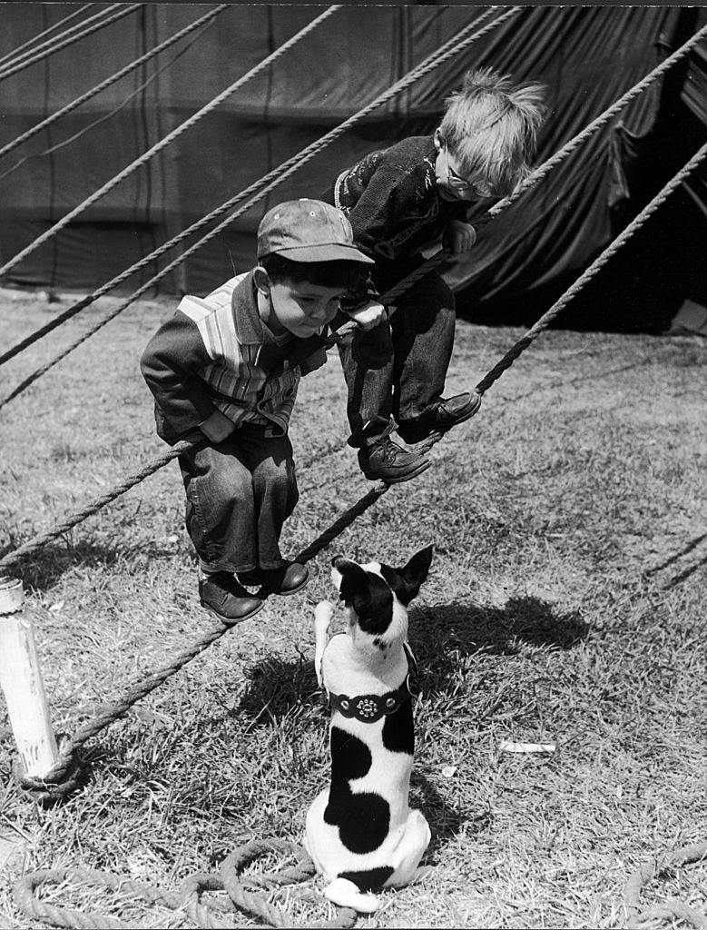 Little boys outside circus tent playing with a dog. (Photo by Nina Leen/The LIFE Picture Collection © Meredith Corporation)