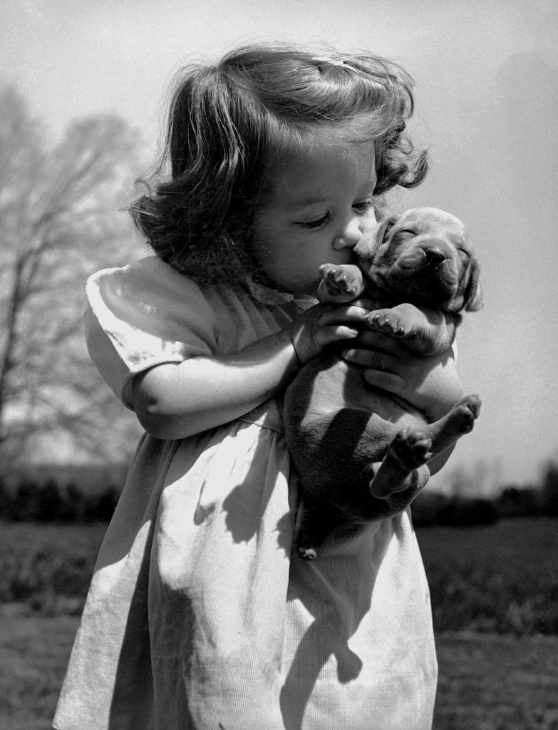 Christina Goldsmith tenderly kissing a Weimaraner puppy, which she took from a new litter of her breeder father's stock, 1950.